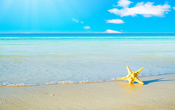 Cute Summer Backgrounds Computer 24 Cool | iz.com HD wallpaper