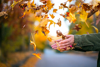 Autumn, Leaves, Miscellanea, Miscellaneous, Hands HD wallpaper