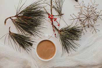 Food, Berries, Coffee, Cup, Branches, Needles HD wallpaper