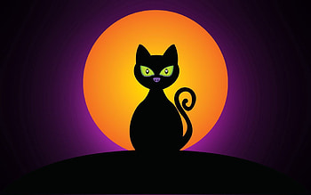 Halloween, Moon, Vector, Silhouette, Cat HD wallpaper
