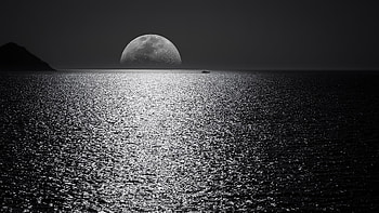 Sunset Monochrome , monochrome, black-and-white, dark, moon, nature HD wallpaper