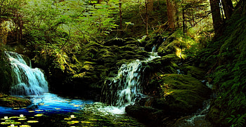 ✰THE TOUCH✰, Bg54, colors, reflections, charm, trees, The Touch, mountains, splendid, woods, magnificent, forests, rocks, Sternenfee59, leaves, green, nature, lilies, lovely, blue, colorful, premade, miscellaneous, stock , comfortable, resources, beautiful, waterfalls, backgrounds, attraction, cool, waterfall, flowers, tender touch, splendor, lotus HD wallpaper
