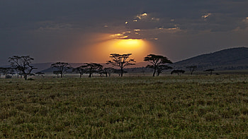 Africa Travels, Vibrant cultures, Diverse landscapes, Adventure calling HD wallpaper