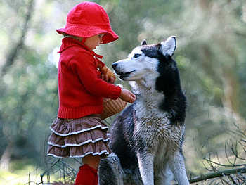 Baby w Dog, dog, , baby, cool, beautiful HD wallpaper