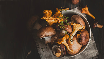 Shiitake mushrooms, Autumn flavors, Japanese cuisine, Culinary feast HD wallpaper