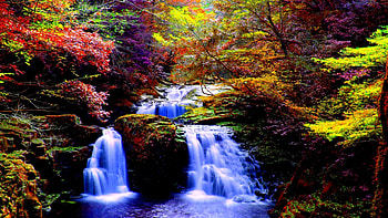 Forest Falls, falls, blue, trees, waterfall, autumn, nature, forest HD wallpaper