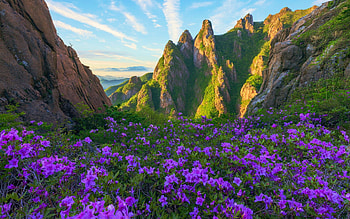 Morning at Wolchusa, South Korea, wildflowers, landscape, clouds, sky, mountains, sunrise HD wallpaper