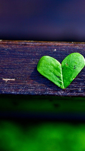 Green Heart, Aesthetic HD phone wallpaper