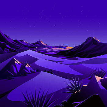 Purple, nature HD phone wallpaper