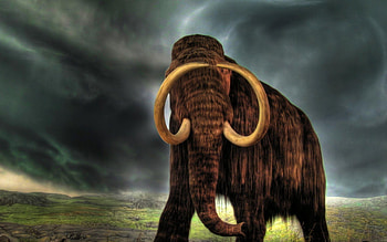 Mammoth , Mammoth backgrounds, Top , Ancient animal HD wallpaper