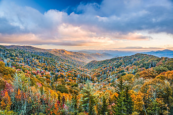 Volunteers needed, Clean up, National park HD wallpaper