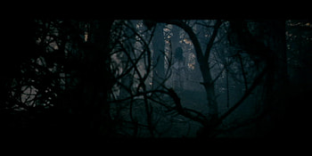 Evil Dead (2013), Movie HD wallpaper