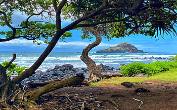 View of Alau Island from Koki Beach, Hawaii, sea, landscape, trees, sky, stones, usa HD wallpaper