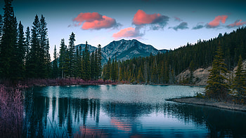 Forest, Landscape, Nature, Mountains, Lake HD wallpaper