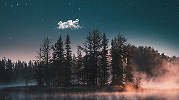 Dreamy Lake, lake, nature, trees, graphy, behance HD wallpaper