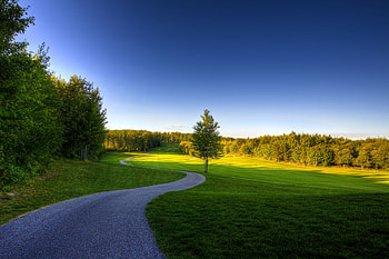 Nature, Wood, Road, Tree, Bends, Meadow, Turns HD wallpaper
