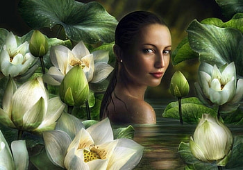 Siren, mermaid, flowers, woman HD wallpaper