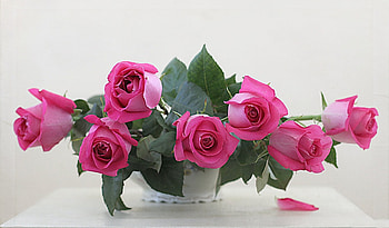 * Simple beauty *, pink, roses, flower, nature, flowers HD wallpaper