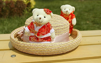 Still life, cute, teddy bear, hat HD wallpaper