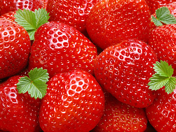 Food, Strawberry, Berry, Ripe HD wallpaper