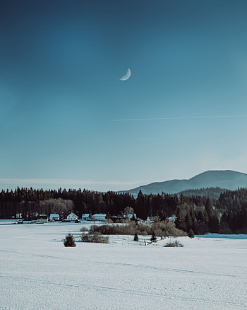 Landscape, Winter, Nature, Trees, Snow, Village HD phone wallpaper