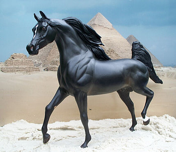 peter stone horse cm, horse, black, stallion, plastic, arabian HD wallpaper
