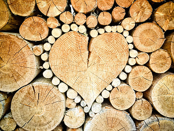 Love, Wood, Tree, Heart, Logs HD wallpaper