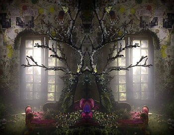 Strange Tree, window, fantasy, art, tree HD wallpaper