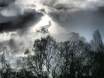 Just enjoy natures power, nature, power, enjoy HD wallpaper