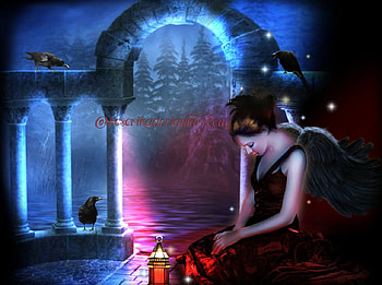 SAD ANGEL, NIGHT, SAD, WINGS, BIRDS, FEMALE, ANGEL HD wallpaper