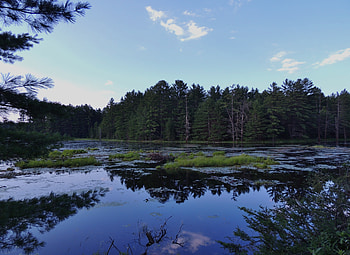Blue And Green Landscape, Green, graphy, Forest, Landscape, Nature, Blue, River, Sky HD wallpaper