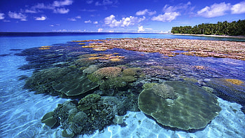 Great Barrier Reef, Coral Reefs HD wallpaper