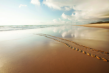 Fraser Island backgrounds, , Travels, Fraser Island HD wallpaper