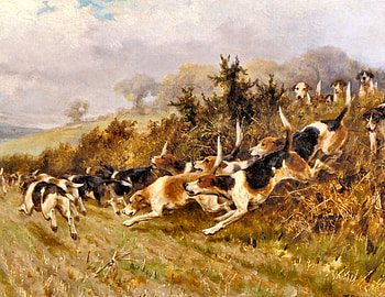 Full Cry - Dogs, animal, art, dogs, beautiful, illustration, artwork, wide screen, painting, Blinks, Thomas Blinks, pets, old master, canine, fox hunt, hounds HD wallpaper