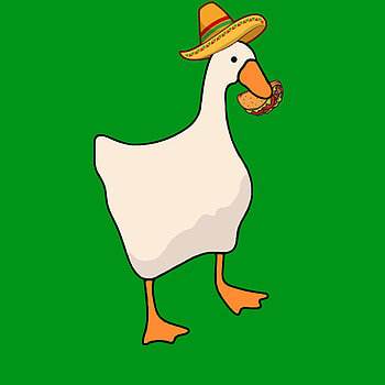 Mexican Duck, green, , tacos HD phone wallpaper