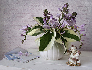 still life, bouquet, graphy, angel, beauty, nice, letter, flower, , white, elegantly, vase, romance, beautiful, gently, purple, pretty, love, cool, flowers, lovely, memories, harmony HD wallpaper