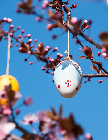 Holidays, Easter, Holiday, Branches, Decoration, Spring, Egg HD phone wallpaper