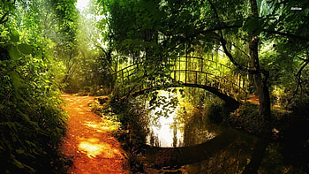 Small Arch Bridge, architecture, path, orange, daylight, day, leaves, light, green, arch, bridge, metal, trees, nature, water, forest HD wallpaper