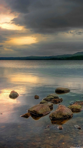Minnesota , Top HD phone wallpaper