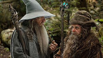 Create meme of Radagast, Fun and creative, Lord of the Rings, Internet humor HD wallpaper