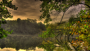 a Hideaway, peace, lake, tree, sunset HD wallpaper