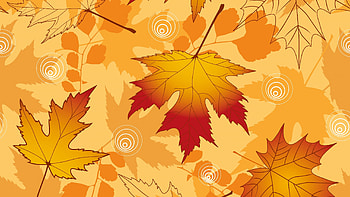 Autumn leaves, skin, yellow, fall, texture, autumn, leaf, frunza, orange HD wallpaper