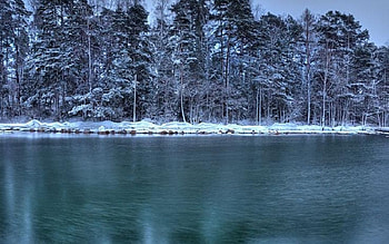Frozen Evening, frozen, evening HD wallpaper
