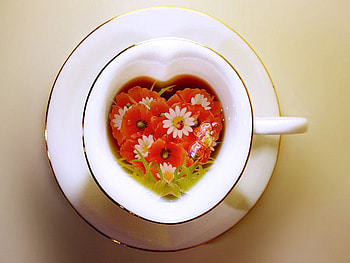 flowery fusion for my friends, colorful, tea, fusion, cup HD wallpaper