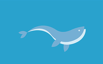 Vector, Swim, To Swim, Dolphin, Fish, Graphics HD wallpaper