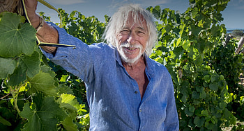 Pierre Richard wines, Chateau Bel Vque, Corbires Maritimes, Gruissan HD wallpaper