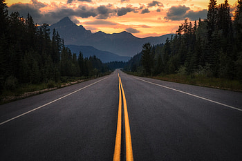 Nature, Trees, Mountains, Canada, Road, Turn, Markup, Asphalt, Jasper HD wallpaper