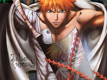 Ichigo, anime, sword, boy, hollow HD wallpaper