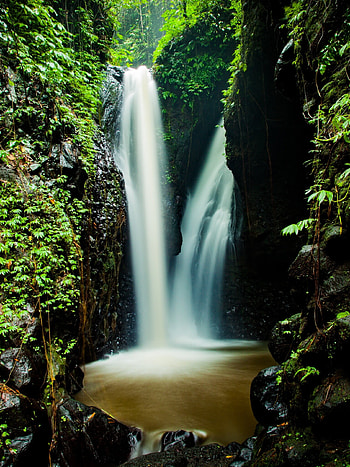 Forest waterfall, nature , Rocks and water, Pristine beauty HD phone wallpaper