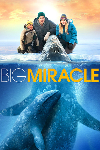 Big Miracle movies anywhere, Majestic storytelling, Inspiring tale, Movie experience HD phone wallpaper
